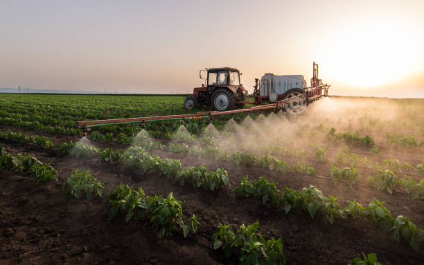 Best Commercial Pest Control Services  in Saugatuck, CT