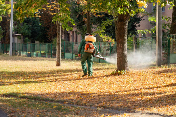 Best Affordable Pest Control Services  in Saugatuck, CT
